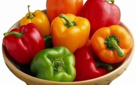 فروشگاه شما؛ کیفیتی که لمس می‌کنید